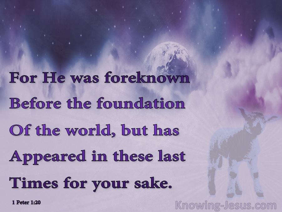 1 Peter 1:20 Foreknown Before The Foundation Of The World (purple)